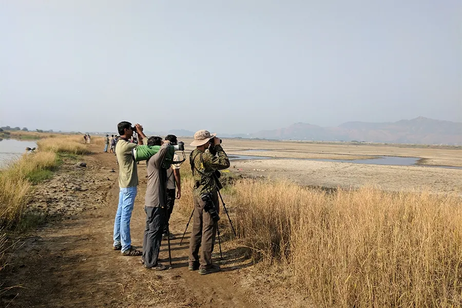 uranbirdwatching